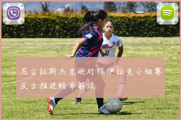 尼古拉斯杰克逊对阵伊拉克小组赛反击推进赔率解读