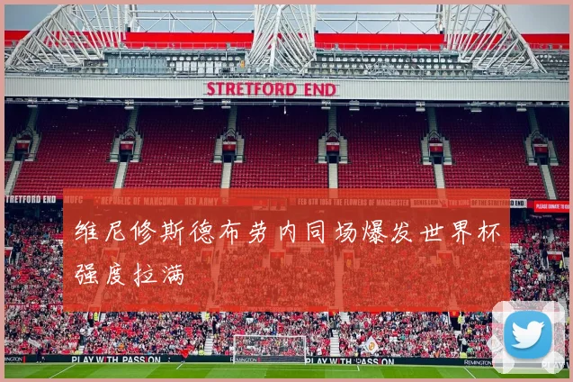 维尼修斯德布劳内同场爆发世界杯强度拉满