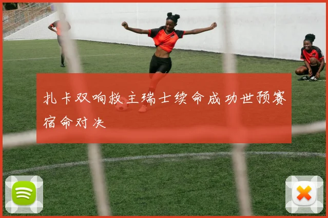 扎卡双响救主瑞士续命成功世预赛宿命对决
