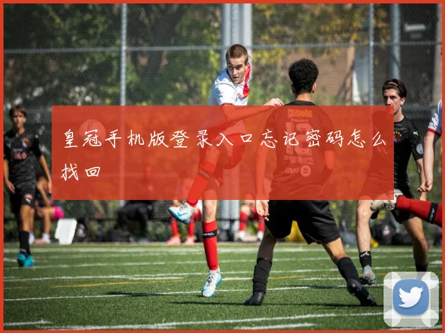 皇冠手机版登录入口忘记密码怎么找回