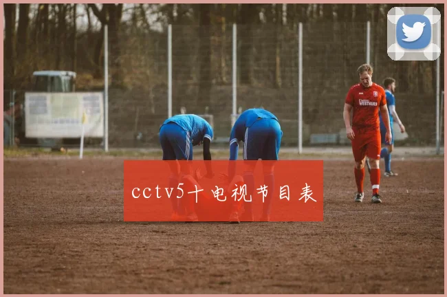 cctv5十电视节目表