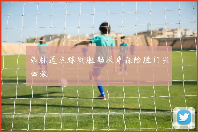 弗林蓬点球制胜勒沃库森险胜门兴回放